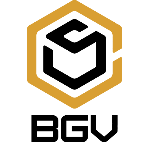 BGV Construction LLC